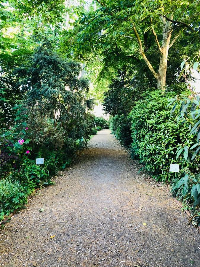 Southern Belgravia Apartments London Luaran gambar